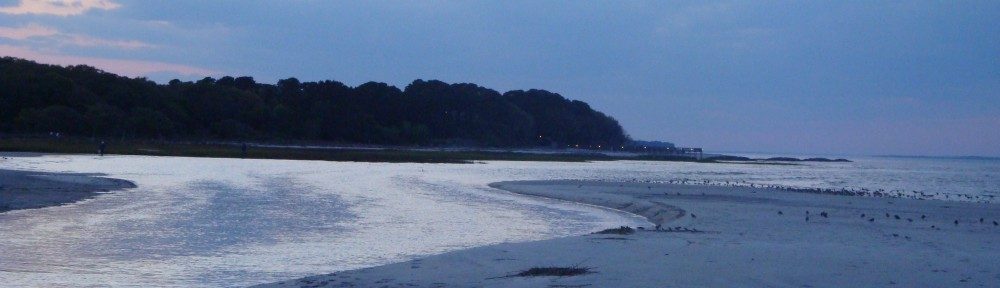 Island Realty – Hilton Head Island and Bluffton Real Estate Sales